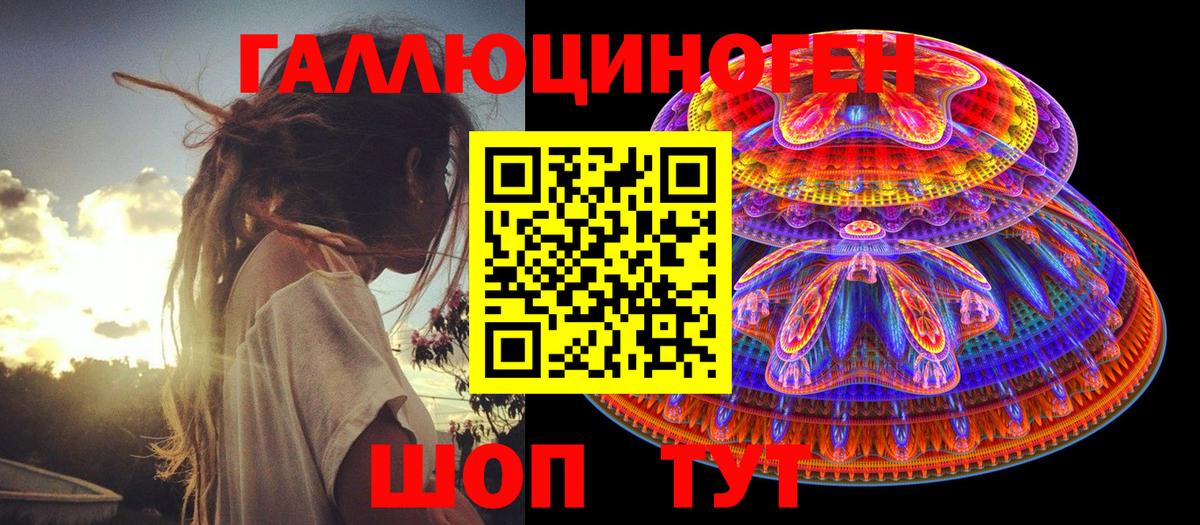 купить   Вход с VPN  Волжск  Псилоцибиновые грибы GOLDEN TEACHER 