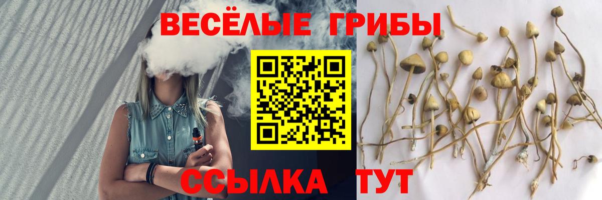 Галлюциногенные грибы прущие грибы Волжск